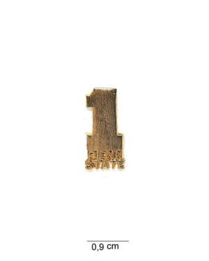 Abzeichen penn state #6073