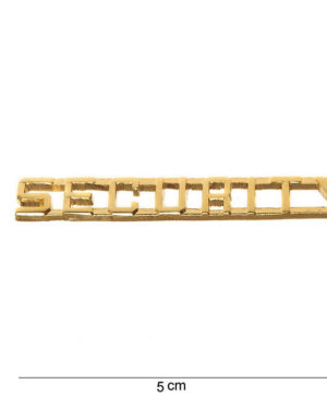 Abzeichen security #2020