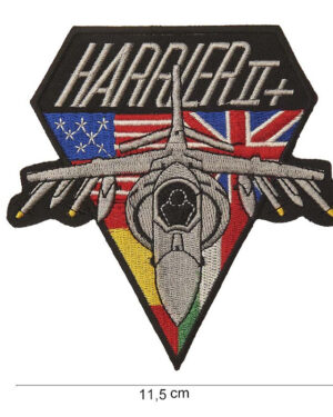 Patch harrier #4043