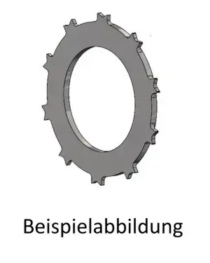 DSC-006.4 - Bremsscheibe Beringer