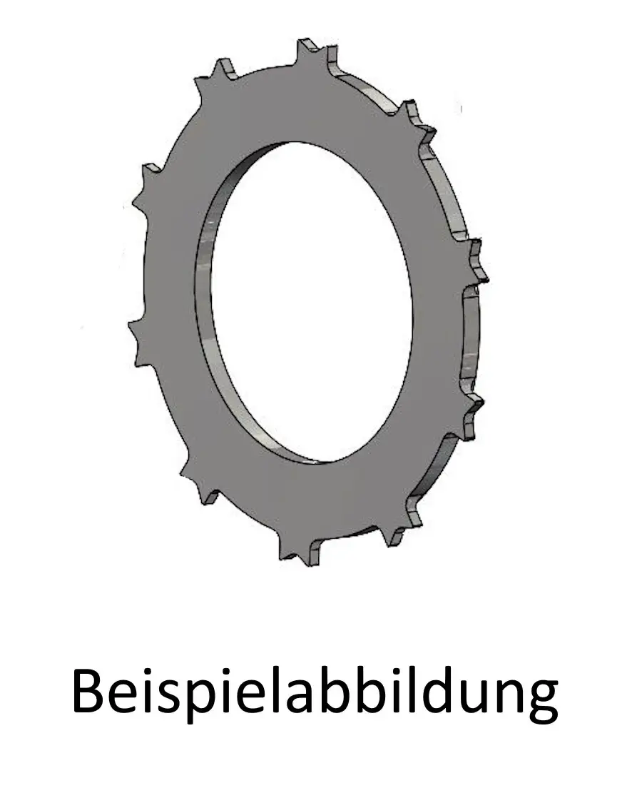 DSC-009.4 - Bremsscheibe Beringer