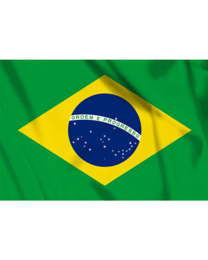 Brasilianische Flagge
